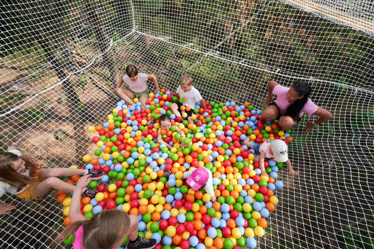 pallomeri ylhaeaeltae alas